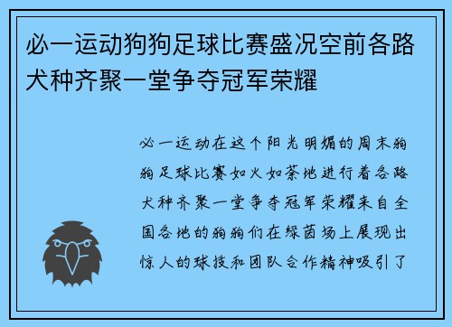必一运动狗狗足球比赛盛况空前各路犬种齐聚一堂争夺冠军荣耀